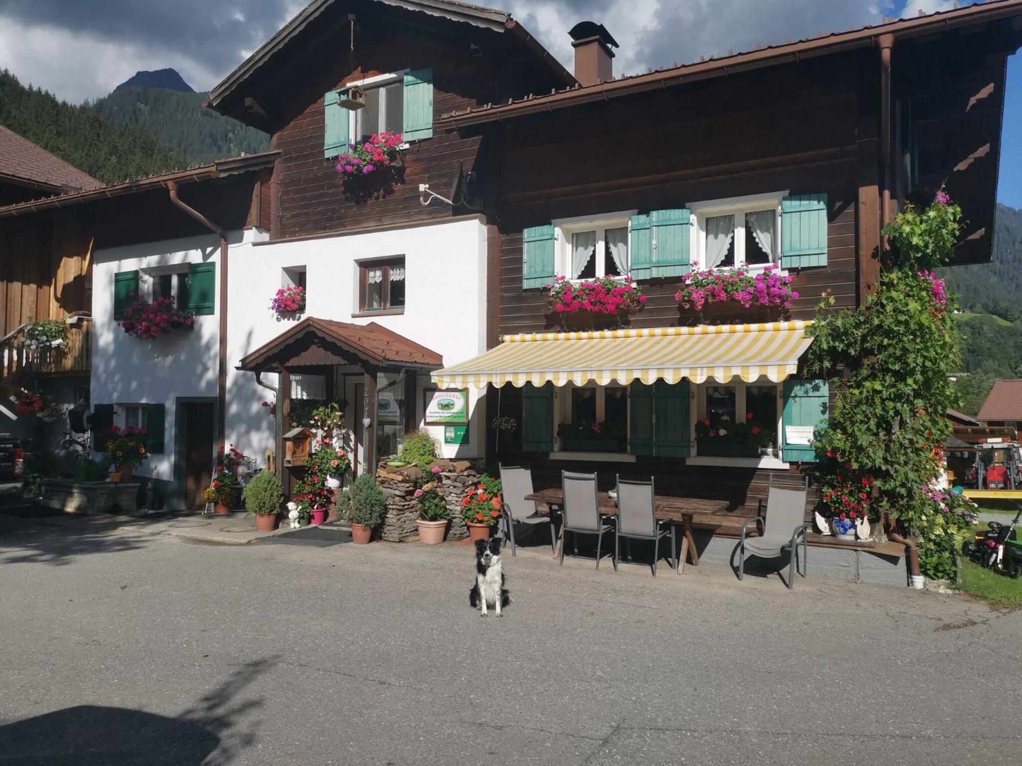 Comfortable Holiday Home With Garden In Voralberg Sankt Gallenkirch Bagian luar foto